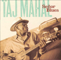 Taj Mahal Album Cover